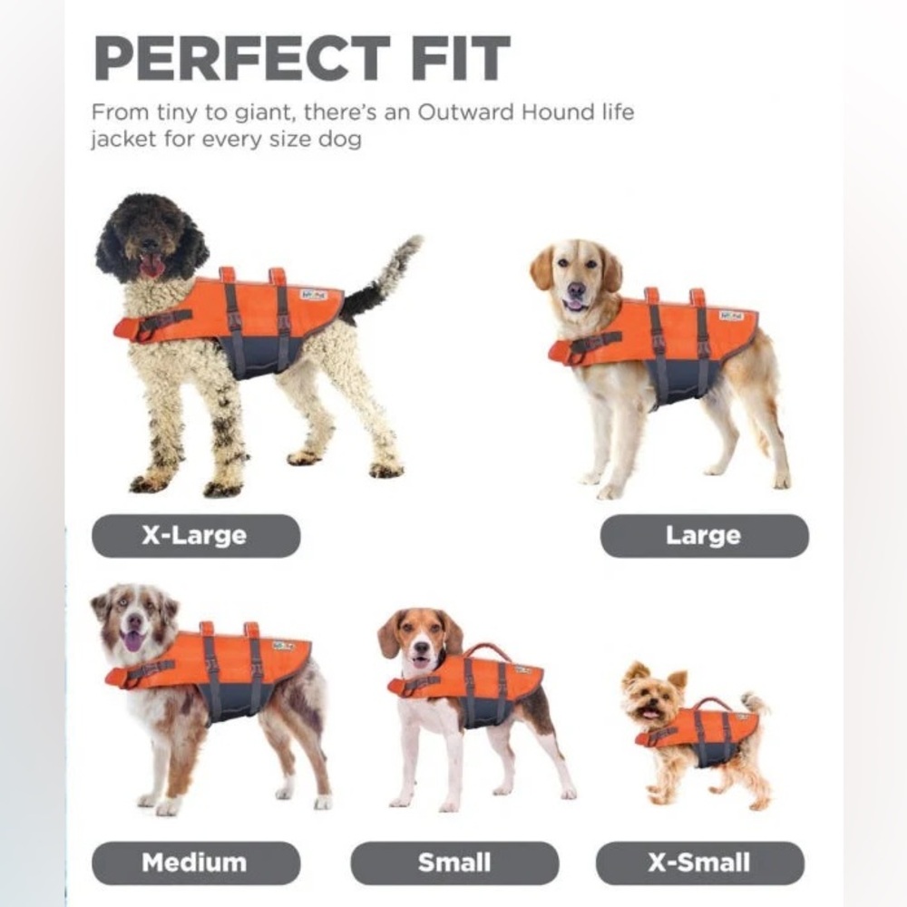 Extra Small Dog Life Jacket